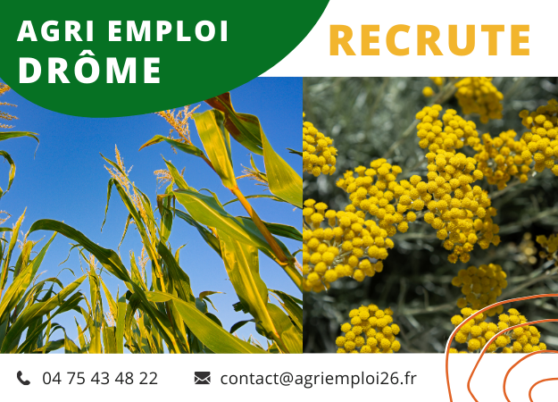 Photo de l'actualit Responsable en Polyculture Semences & Aromatiques H/F- MONTVENDRE (26)